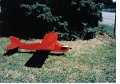 FLYING FRENDS 006